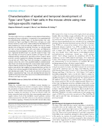 Characterization of Spatial and Temporal Development of Type I And