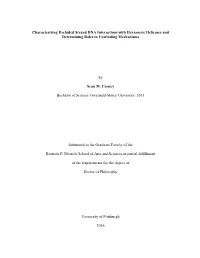 Characterizing Excluded Strand DNA Interactions with Hexameric Helicases and Determining Roles in Unwinding Mechanisms by Sean M