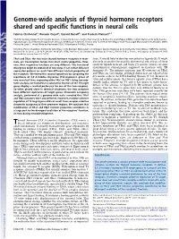 Genome-Wide Analysis of Thyroid Hormone Receptors Shared and Speciﬁc Functions in Neural Cells