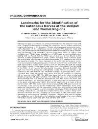 Landmarks for the Identification of the Cutaneous Nerves of the Occiput