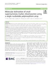Molecular Delineation of Small Supernumerary Marker
