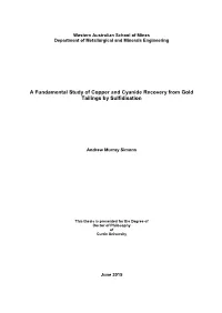 A Fundamental Study of Copper and Cyanide Recovery from Gold Tailings by Sulfidisation