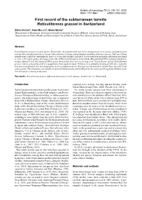 First Record of the Subterranean Termite Reticulitermes Grassei in Switzerland