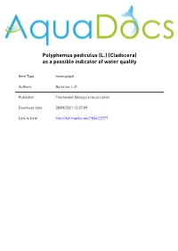 Polyphemus Pediculus (L.) (Cladocera) As a Possible Indicator of Water Quality