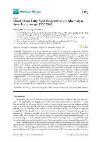 Short Chain Fatty Acid Biosynthesis in Microalgae Synechococcus Sp. PCC 7942
