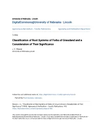Classification of Root Systems of Forbs of Grassland and a Consideration of Their Significance J