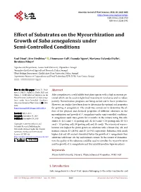Effect of Substrates on the Mycorrhization and Growth of Saba Senegalensis Under Semi-Controlled Conditions