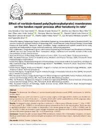 Effect of Norbixin-Based Poly(Hydroxybutyrate) Membranes on the Tendon Repair Process After Tenotomy in Rats1