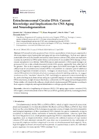 Extrachromosomal Circular DNA: Current Knowledge and Implications for CNS Aging and Neurodegeneration