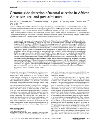 Genome-Wide Detection of Natural Selection in African Americans Pre- and Post-Admixture