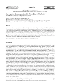 A New Species of Suckermouth Catfish (Mochokidae: Chiloglanis) from the Rio Mongo in Equatorial Guinea