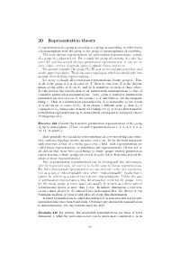 20 Representation Theory