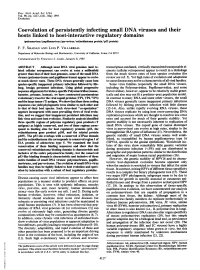 Coevolution of Persistently Infecting Small DNA Viruses and Their Hosts