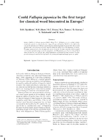 Could Fallopia Japonica Be the First Target for Classical Weed Biocontrol in Europe?