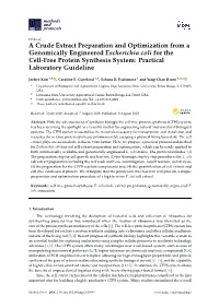 A Crude Extract Preparation and Optimization from a Genomically Engineered Escherichia Coli for the Cell-Free Protein Synthesis System: Practical Laboratory Guideline