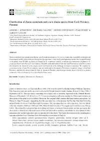 Zamia-Nana.Pdf