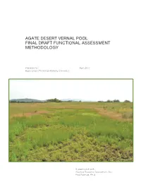 Agate Desert Vernal Pool Final Draft Functional Assessment Methodology