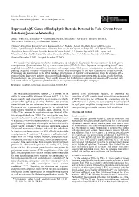 Expressed Nifh Genes of Endophytic Bacteria Detected in Field-Grown Sweet Potatoes (Ipomoea Batatas L.)