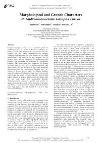 Morphological and Growth Characters of Andromonoecious Jatropha Curcas