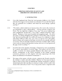 CHAPTER 2 CHRISTIAN INITIATION of ADULTS and CHILDREN of CATECHETICAL AGE I. INTRODUCTION 2.1.1 out of the Baptismal Font, Chri