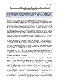Mini Data Sheet on Geosmithia Morbida and Pityophthorus Juglandis