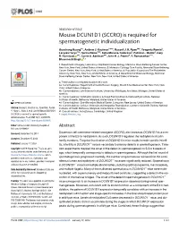 Mouse DCUN1D1 (SCCRO) Is Required for Spermatogenetic Individualization