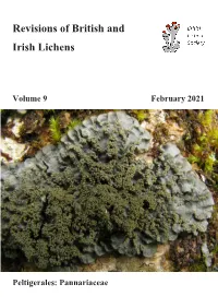 Revisions of British and Irish Lichens