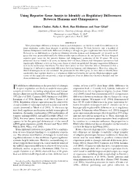 Using Reporter Gene Assays to Identify Cis Regulatory Differences Between Humans and Chimpanzees