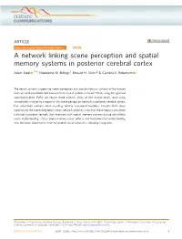 A Network Linking Scene Perception and Spatial Memory Systems in Posterior Cerebral Cortex ✉ Adam Steel 1 , Madeleine M