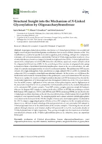 Structural Insight Into the Mechanism of N-Linked Glycosylation by Oligosaccharyltransferase