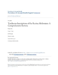 Tendinous Inscriptions of the Rectus Abdominis: a Comprehensive Review
