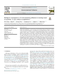 Biological Consequences of Environmental Pollution in Running Water Ecosystems: a Case Study in Zooplankton*