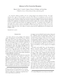 Advances in Fire Convection Dynamics