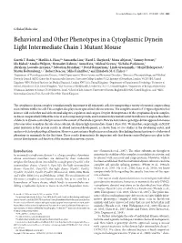 Behavioral and Other Phenotypes in a Cytoplasmic Dynein Light Intermediate Chain 1 Mutant Mouse