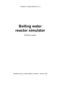 Boiling Water Reactor Simulator