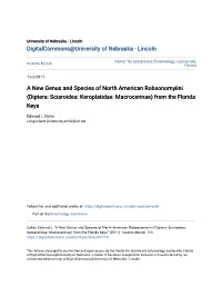 Diptera: Sciaroidea: Keroplatidae: Macrocerinae) from the Florida Keys