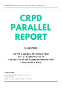 DPA CRPD Parallel Report