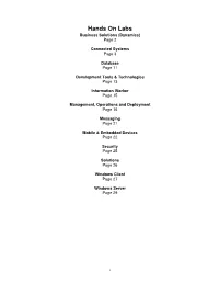Hands on Labs Business Solutions (Dynamics) Page 2