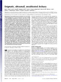 Enigmatic, Ultrasmall, Uncultivated Archaea