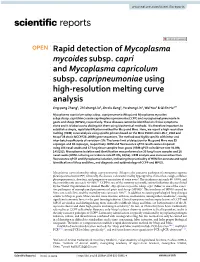 Rapid Detection of Mycoplasma Mycoides Subsp. Capri and Mycoplasma Capricolum Subsp