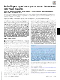 Retinal Inputs Signal Astrocytes to Recruit Interneurons Into Visual Thalamus