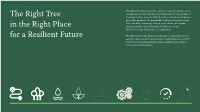 Urban Tree Manual Provides Advice on Selecting and Procuring the Right Tree1 for the Right Place in Urban Areas