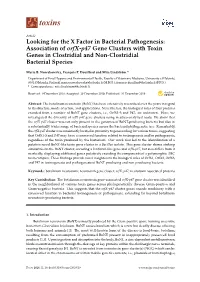 Association of Orfx-P47 Gene Clusters with Toxin Genes in Clostridial and Non-Clostridial Bacterial Species