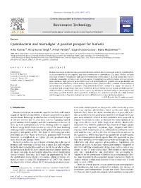 Cyanobacteria and Microalgae: a Positive Prospect for Biofuels