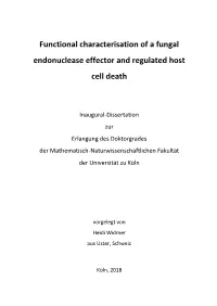 Functional Characterisation of a Fungal Endonuclease Effector and Regulated Host Cell Death