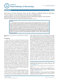 Detection of Coat Protein Gene of the Potato Leafroll Virus by Reverse