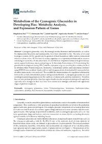 Metabolism of the Cyanogenic Glucosides in Developing Flax: Metabolic Analysis, and Expression Pattern of Genes