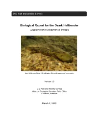 Ozark Hellbender Biological Report