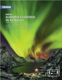 Aurora Chasing in Norway Tour Code: Enoslw