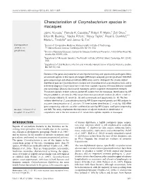 Characterization of Corynebacterium Species in Macaques